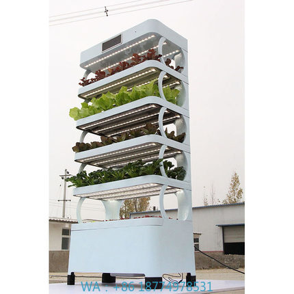 تسليح أنظمة النمو المائية المن - مراجعة Smart Garden System وسعره