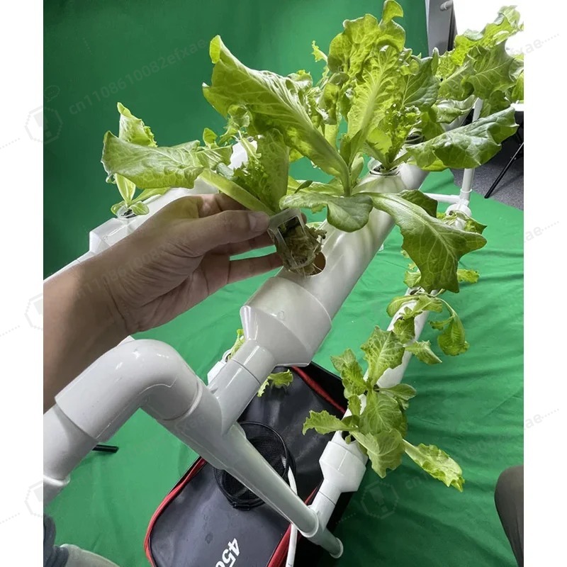 نظام الزراعة المائية NFT، طبقت - مراجعة Smart Garden Hanging Baskets وسعره