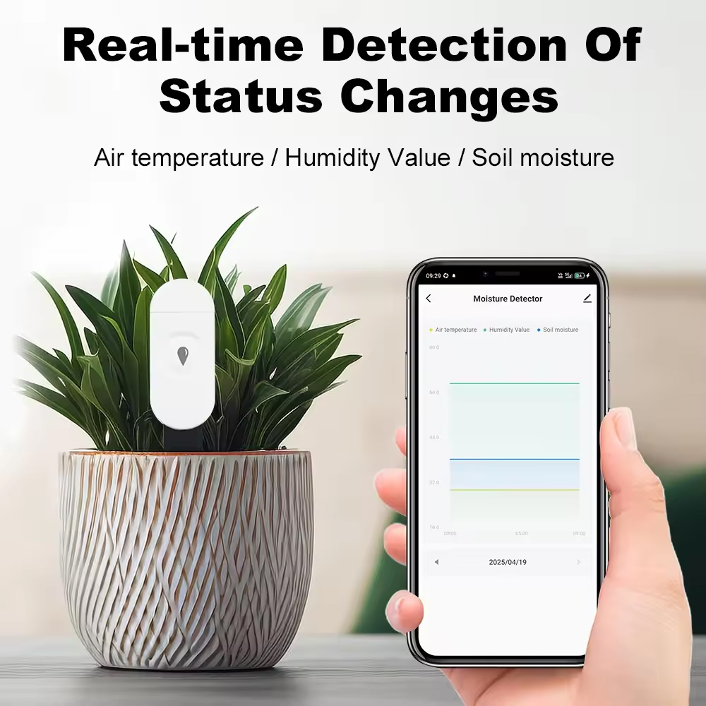 تويا زيجبي كاشف درجة الحرارة و - مراجعة Smart Garden Zigbee وسعره