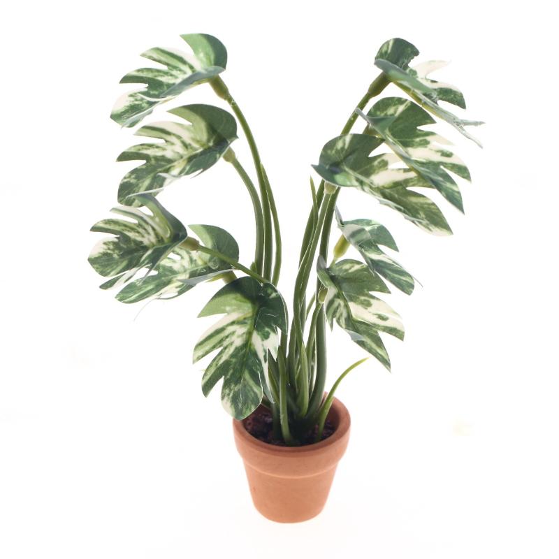 جديد. نموذج نبات مونستيرا أخضر - مراجعة Smart Garden In Home وسعره
