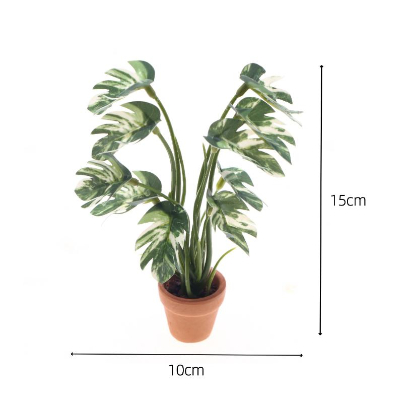 جديد. نموذج نبات مونستيرا أخضر - مراجعة Smart Garden In Home وسعره